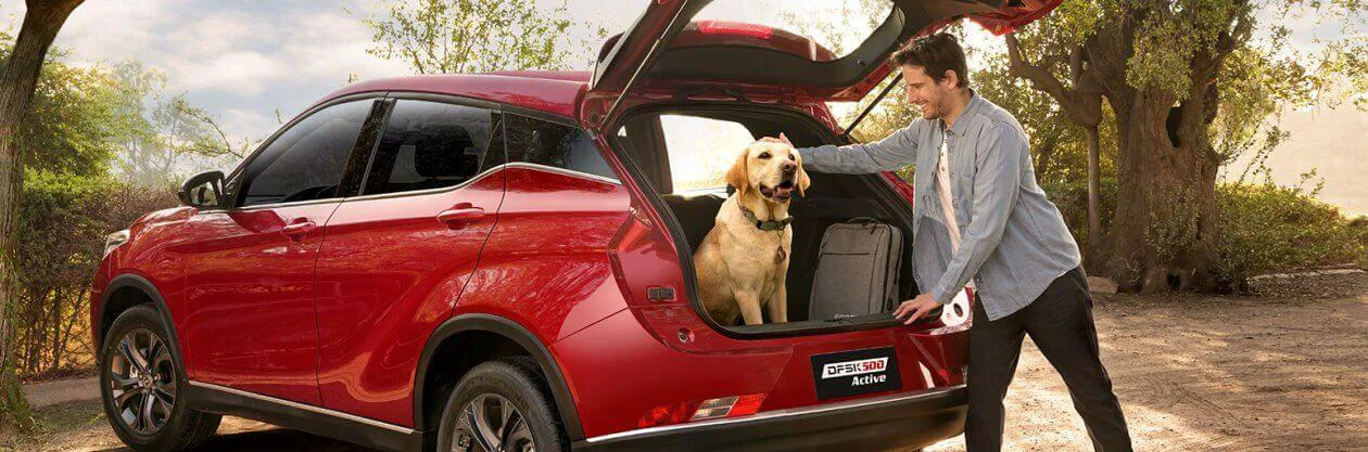 Capacidad SUV